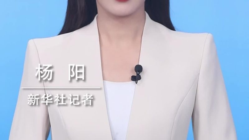 RPA代理加盟商需具备一定的技术实力，包括但不限于：